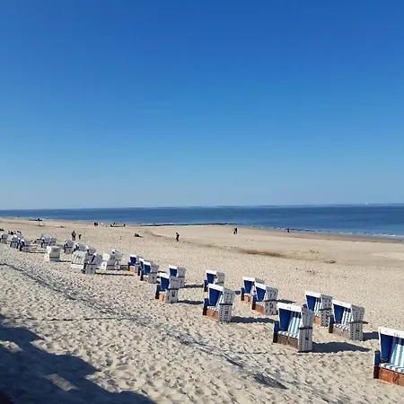 Nordmuschel In * Westerland