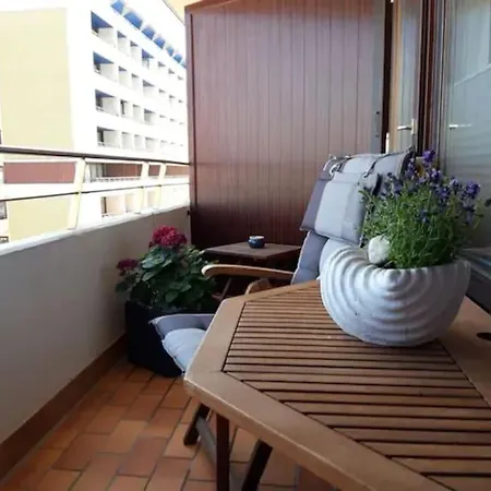 Nordmuschel In Apartment